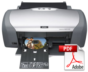 EPSON R220/R230 Service Manual