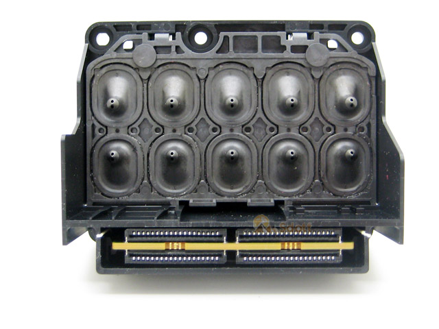 EPSON Pro 7700_7890_7900 9700_9890_9900 Print Head - F191080 (F191040,F191010)
