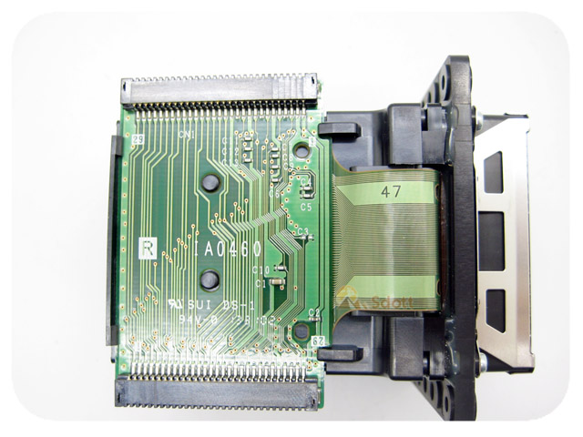 EPSON Pro GS6000 Print Head - F188000