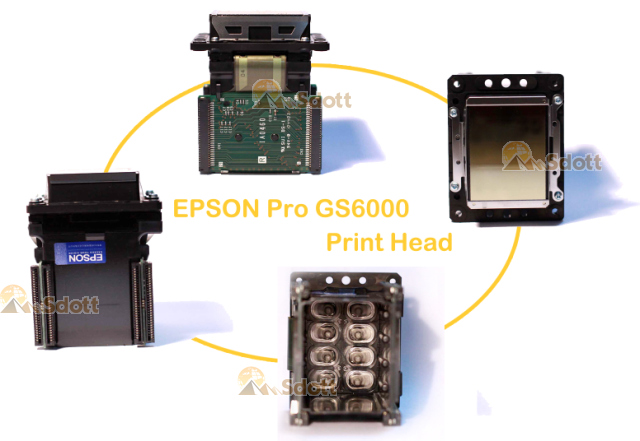 EPSON Pro GS6000 Print Head - F188000