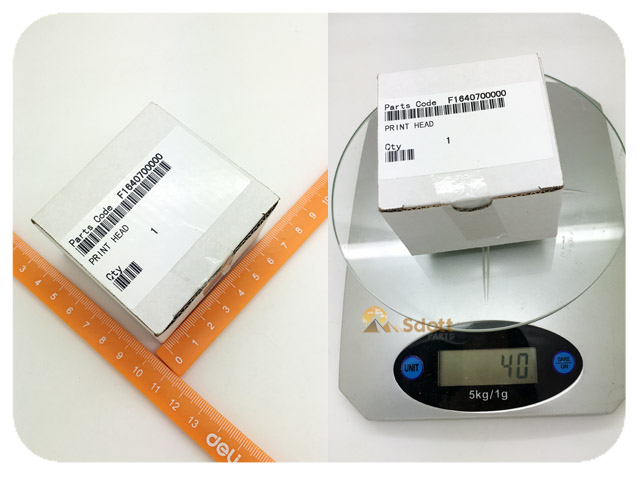 EPSON PHOTO R240_R245_R250_RX430 Print Head - F164070